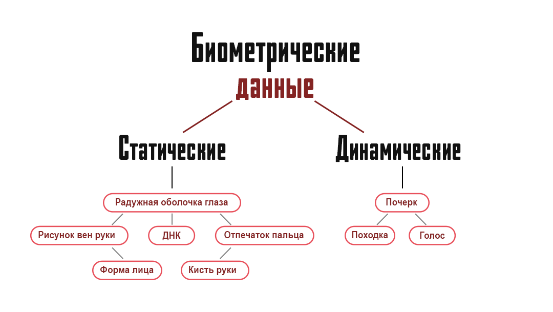 Что такое персональные данные и что к ним относят